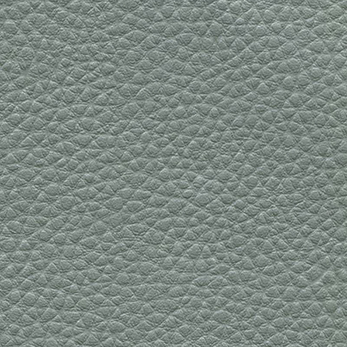 Цвет экокожи Alba — Dollaro 5037