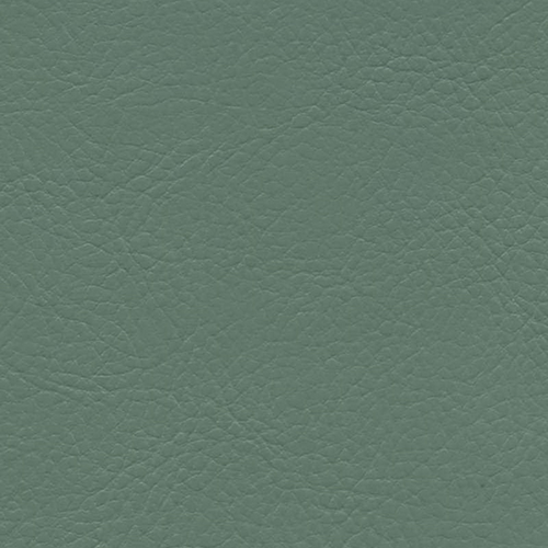 Цвет экокожи Alba — Aries 560