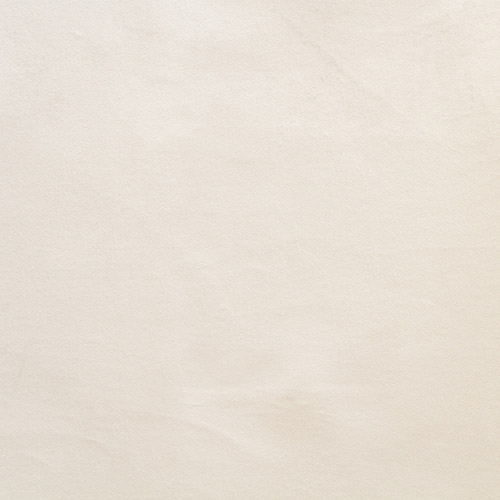 Цвет велюра — Caspia 01 Ivory Plain