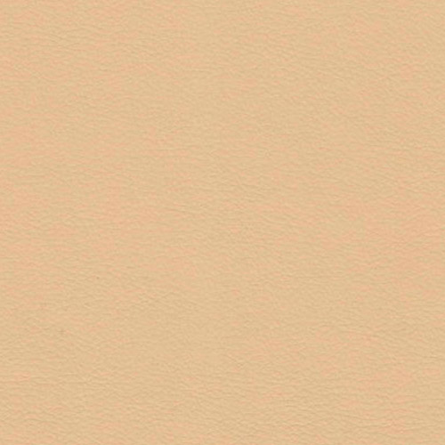 Цвет искусственной кожи Раута — Fortuna Beige