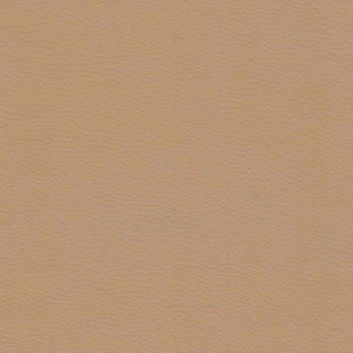 Цвет искусственной кожи Раута — Fortuna Cream
