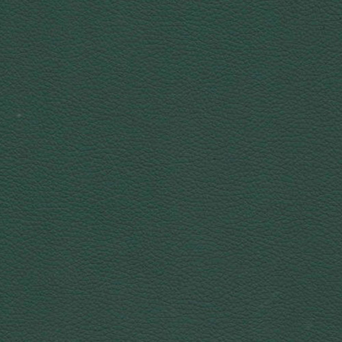 Цвет искусственной кожи Раута — Fortuna Green