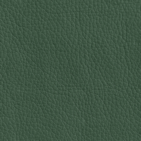 Цвет экокожи Oregon 01