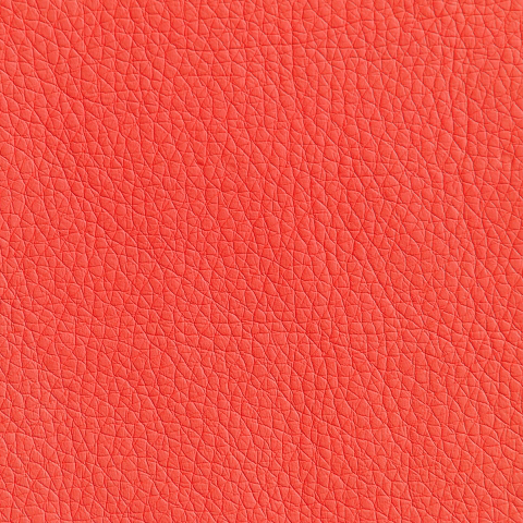 Цвет экокожи Oregon 09