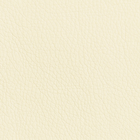 Цвет экокожи Oregon 10