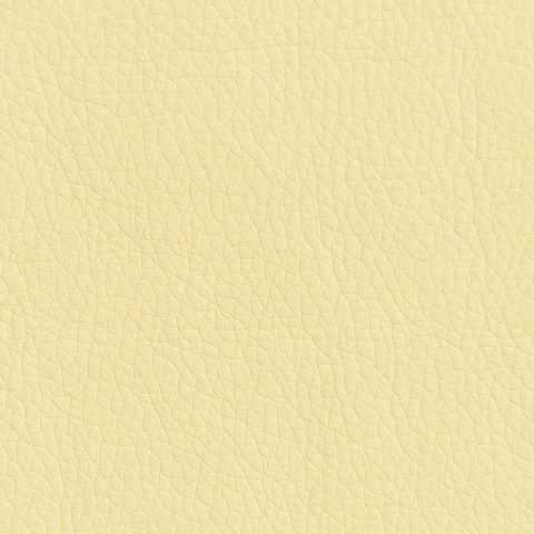 Цвет экокожи Oregon 11