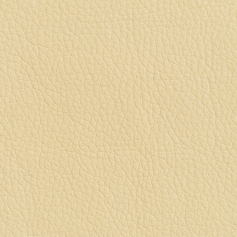 Цвет экокожи Oregon 12