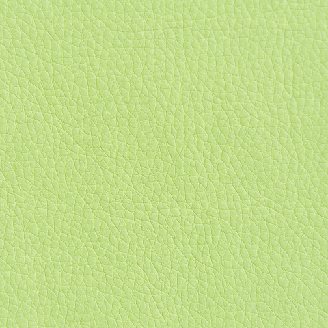Цвет экокожи Oregon 19