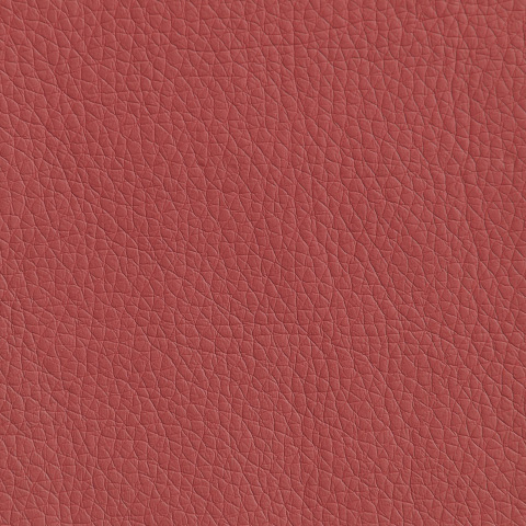 Цвет экокожи Oregon 21