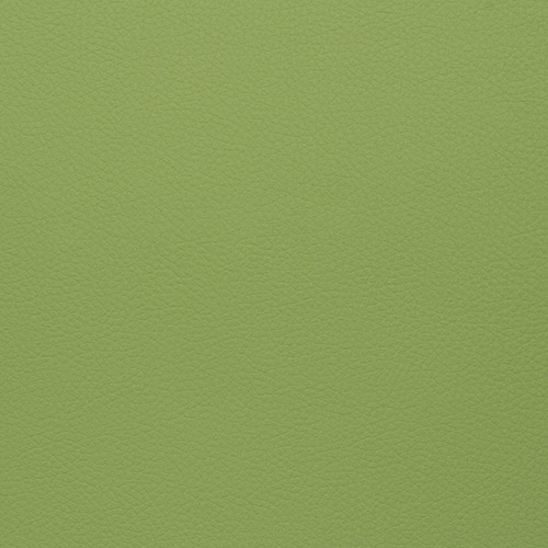Цвет экокожи Вектор — Grifon 06