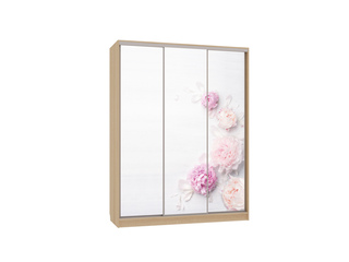 Фото Шкаф-купе Бассо 7.17 (полки слева). Шкафы-купе Бассо.