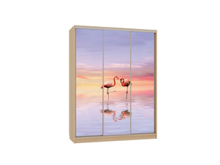 Фото Шкаф-купе Бассо 7.19 (полки слева). Шкафы-купе Бассо.