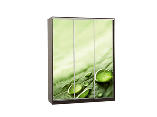 Фото Шкаф-купе Бассо 7.25 (полки слева). Шкафы-купе Бассо.