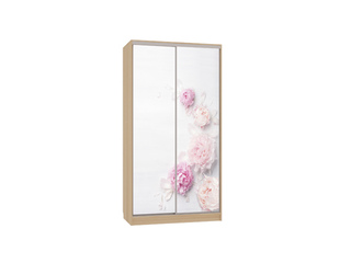 Фото Шкаф-купе Рио 7.17 (полки слева). Шкафы-купе Рио.