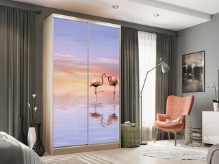 Фото Шкаф-купе Рио 7.19 (полки слева). Шкафы-купе Рио.