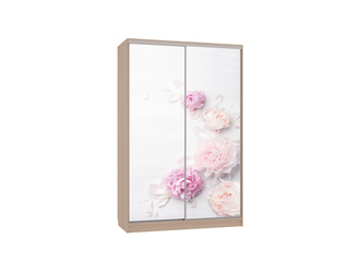 Фото Шкаф-купе Гранд 7.17 (полки слева). Шкафы-купе Гранд.