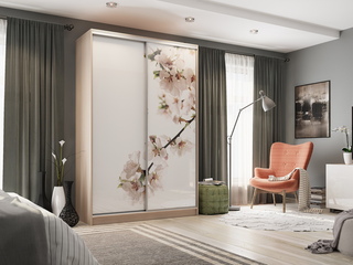 Фото Шкаф-купе Рио 7.Яблоня (полки справа). Шкафы-купе Рио.