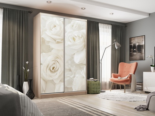 Фото Шкаф-купе Гранд 7.Розы (полки справа). Шкафы-купе Гранд.