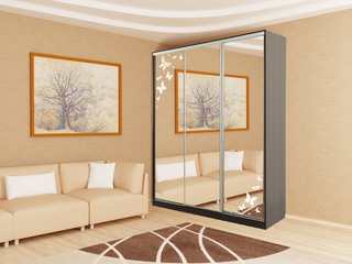 Фото Шкаф-купе Бассо 4.Бабочки (полки слева). Шкафы-купе Бассо.