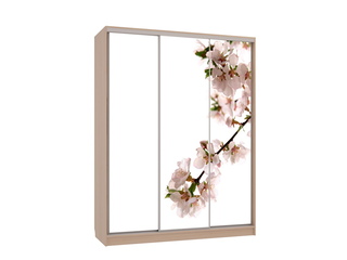 Фото Шкаф-купе Бассо 7.Яблоня (полки слева). Шкафы-купе Бассо.