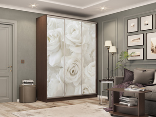 Фото Шкаф-купе Бассо 7.Розы (полки слева). Шкафы-купе Бассо.