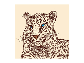 Фото Фасад Галерея. Модульный компьютерный стол Галерея.