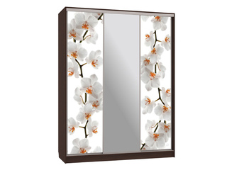 Фото Шкаф-купе Бассо 10-600 83. Шкафы-купе Бассо.