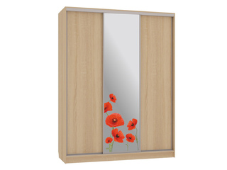 Фото Шкаф-купе Бассо 1.Маки (полки слева). Шкафы-купе Бассо.