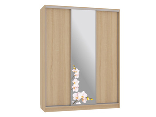 Фото Шкаф-купе Бассо 1.Орхидеи (полки слева). Шкафы-купе Бассо.