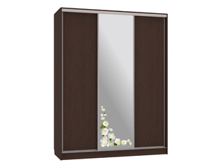 Фото Шкаф-купе Бассо 1.Розы (полки слева). Шкафы-купе Бассо.