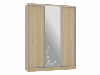 Фото Шкаф-купе Бассо 1.Цветы 2 (полки слева). Шкафы-купе Бассо.