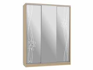 Фото Шкаф-купе Бассо 4.Волны 2 (полки слева). Шкафы-купе Бассо.