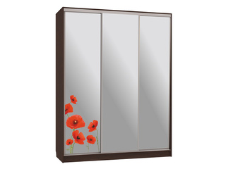 Фото Шкаф-купе Бассо 4.Маки (полки слева). Шкафы-купе Бассо.