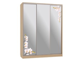 Фото Шкаф-купе Бассо 4.Орхидеи (полки слева). Шкафы-купе Бассо.