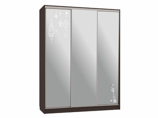 Фото Шкаф-купе Бассо 4.Птицы (полки слева). Шкафы-купе Бассо.