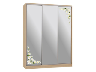 Фото Шкаф-купе Бассо 4.Розы (полки слева). Шкафы-купе Бассо.