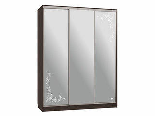 Фото Шкаф-купе Бассо 4.Цветы 2 (полки слева). Шкафы-купе Бассо.