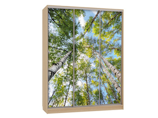 Фото Шкаф-купе Бассо 7.57 (полки слева). Шкафы-купе Бассо.