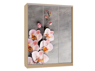 Фото Шкаф-купе Бассо 7.78 (полки слева). Шкафы-купе Бассо.