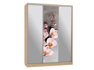 Фото Шкаф-купе Бассо 9-600 78. Шкафы-купе Бассо.