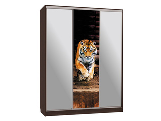 Фото Шкаф-купе Бассо 9-600 87. Шкафы-купе Бассо.