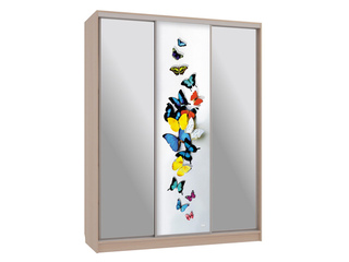 Фото Шкаф-купе Бассо 9-600 88. Шкафы-купе Бассо.