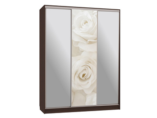Фото Шкаф-купе Бассо 9.Розы. Шкафы-купе Бассо.