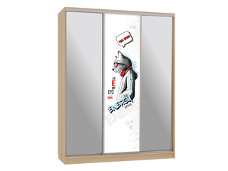 Фото Шкаф-купе Бассо 9.Энерджи. Шкафы-купе Бассо.