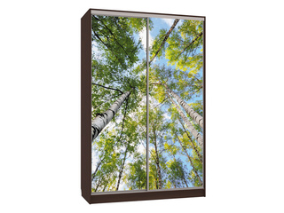 Фото Шкаф-купе Гранд 7.57 (полки слева). Шкафы-купе Гранд.