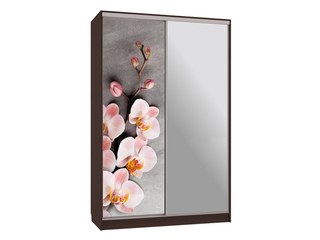 Фото Шкаф-купе Гранд 9.78 (полки слева). Шкафы-купе Гранд.