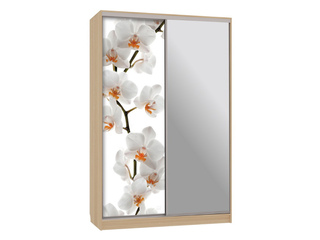 Фото Шкаф-купе Гранд 9.83 (полки слева). Шкафы-купе Гранд.