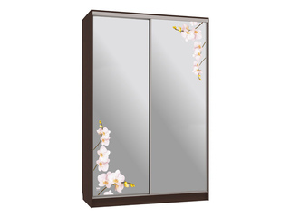 Фото Шкаф-купе Рио 4.Орхидеи (полки справа). Шкафы-купе Рио.