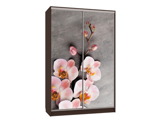 Фото Шкаф-купе Рио 7.78 (полки слева). Шкафы-купе Рио.