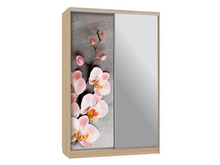 Фото Шкаф-купе Рио 9.78 (полки слева). Шкафы-купе Рио.